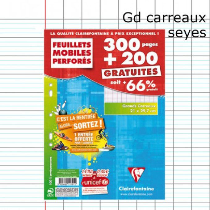 500P Feuilles simples CLAIREFONTAINE A4 séyès Perforées